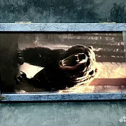 Нарды под стеклом «Хозяин тайги» в подарок — фотография 8