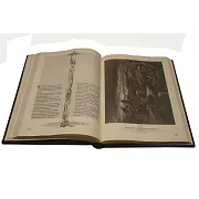Библия в гравюрах Гюстава Доре — книга в кожаном переплёте в подарок — фотография 2