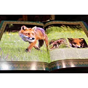 Охота — книга в коже в подарок — фотография 4