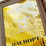 Обложка на паспорт из кожи «Герб Свердловской области» в подарок — фотография 3